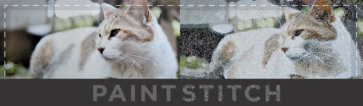 Janome Artistic Digitizer